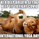 Lion Yoga | TAKE A DEEP BREATH-GET AGILE
KEEP FIT TO FIGHT COVID; INTERNATIONAL YOGA DAY | image tagged in lion yoga | made w/ Imgflip meme maker