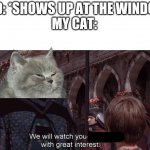 Sorry if this is a repost | BIRD: *SHOWS UP AT THE WINDOW* 
MY CAT: | image tagged in we will watch your career with great interest,cats,charts,demotivationals,barney will eat all of your delectable biscuits | made w/ Imgflip meme maker