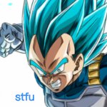 vegeta stfu