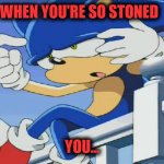 Sonic Can't Remember - Sonic X | WHEN YOU'RE SO STONED; YOU... | image tagged in sonic can't remember - sonic x | made w/ Imgflip meme maker