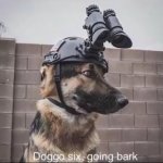 doggo six going bark