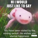 wholesom axolotl | HI I WOULD JUST LIKE TO SAY; FOREVER | image tagged in wholesom axolotl | made w/ Imgflip meme maker