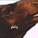 يا عم meme