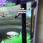 Guppies in a group | ME AND KAWAIISCRUSER HANGING OUT; BULLIES RUINING 
MY LIFE | image tagged in guppies in a group | made w/ Imgflip meme maker