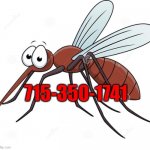 cute mosquito | 715-350-1741 | image tagged in cute mosquito | made w/ Imgflip meme maker