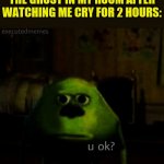 At least someone to talk to | THE GHOST IN MY ROOM AFTER WATCHING ME CRY FOR 2 HOURS: | image tagged in creepy mike sulley face u ok | made w/ Imgflip meme maker