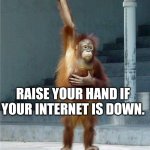 HAPPY AMAZON PRIME DAY !! | RAISE YOUR HAND IF YOUR INTERNET IS DOWN. | image tagged in monkey raising hand | made w/ Imgflip meme maker
