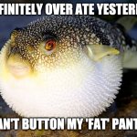 Puffer Fish | I DEFINITELY OVER ATE YESTERDAY. CAN'T BUTTON MY 'FAT' PANTS. | image tagged in puffer fish | made w/ Imgflip meme maker