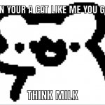 When your a cat