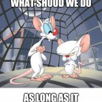Pinky and the brain | SO BRAIN WHAT SHOUD WE DO AS LONG AS IT HAS CHESSE PUFFS | image tagged in pinky and the brain | made w/ Imgflip meme maker