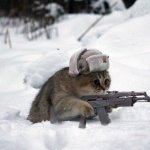 soviet kitty