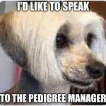 Karen Doggo | I'D LIKE TO SPEAK; TO THE PEDIGREE MANAGER | image tagged in karen doggo | made w/ Imgflip meme maker