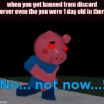 who banned you tho | when you get banned from discord server even tho you were 1 day old in there | image tagged in not now george pig | made w/ Imgflip meme maker