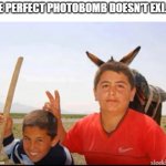 who's the donkey now? | THE PERFECT PHOTOBOMB DOESN'T EXI... | image tagged in donkey photobombs kid | made w/ Imgflip meme maker