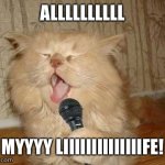 Cat singing KC and JoJo | ALLLLLLLLLL; MYYYY LIIIIIIIIIIIIIIFE! | image tagged in cat singing | made w/ Imgflip meme maker