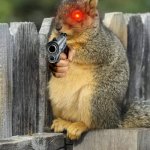 Annoyed Squirrel | FILL THE FEEDER; NOW! | image tagged in annoyed squirrel | made w/ Imgflip meme maker