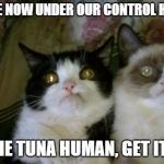 McMelch | image tagged in memes,mcmelch,grumpy cat,cats | made w/ Imgflip meme maker