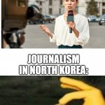 It really sucks though :( | JOURNALISM IN AMERICA:; JOURNALISM IN NORTH KOREA: | image tagged in white blank template,journalism,quiet | made w/ Imgflip meme maker