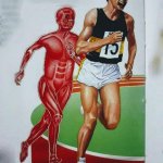 A Runner Chased by Human Muscle