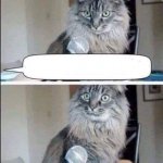 CAT INTERVIEW question shocks cat 2 PANEL