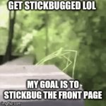 There's actually no need to upvote or anything. I just want to attempt to accomplish my goal | MY GOAL IS TO STICKBUG THE FRONT PAGE | image tagged in gifs,get stick bugged lol | made w/ Imgflip video-to-gif maker