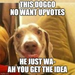 lol | THIS DOGGO NO WANT UPVOTES; HE JUST WA- AH YOU GET THE IDEA | image tagged in big smile doggie | made w/ Imgflip meme maker