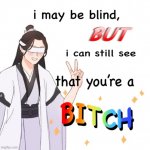 I may be blind but I can still see that you’re a bitch