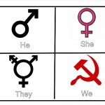 Blank quadrant | She; He; We; They | image tagged in blank quadrant | made w/ Imgflip meme maker