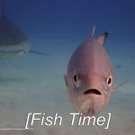 [Fish Time]