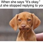 Ah naw | When she says “It’s okay.” 
But she stopped replying to you | image tagged in ah naw,dogs,dammit,memes,new memes,funny memes | made w/ Imgflip meme maker