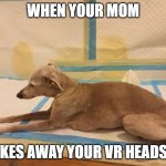 *sad zero caliber noises* | WHEN YOUR MOM; TAKES AWAY YOUR VR HEADSET | image tagged in sad doggo | made w/ Imgflip meme maker