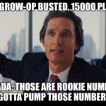 Grow-op | USA: GROW-OP BUSTED, 15000 PLANTS; CANADA: THOSE ARE ROOKIE NUMBERS, YOU GOTTA PUMP THOSE NUMBERS UP! | image tagged in those are rookie numbers | made w/ Imgflip meme maker