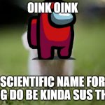 Cute Pigy Oink | OINK OINK; SCIENTIFIC NAME FOR PIG DO BE KINDA SUS THO | image tagged in cute pigy oink | made w/ Imgflip meme maker