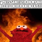 burn it down.... | ME:* PUTS SANITIZER ON MY HAND*
THE CUT I NEVER KNEW EXISTED | image tagged in elmo fire,memes,kermit,funny,lol,dank memes | made w/ Imgflip meme maker