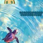 Soaps turtle temp