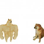 strong and weak doge