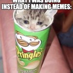 Yes that's what i was doing. (follow Honey_Nugget on imgflip) | WHAT I WAS DOING INSTEAD OF MAKING MEMES: | image tagged in sad pringles cat,sad cat,pringles | made w/ Imgflip meme maker