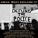 Defund the police explained