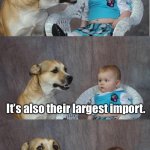 Dad jokes suck | Did you know that Australia’s largest export is boomerangs? It’s also their largest import. | image tagged in bad joke dog,bad jokes,stupid humor,dad jokes | made w/ Imgflip meme maker
