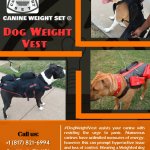 Dog weight vest