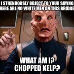 Saru | I STRENUOUSLY OBJECT TO YOUR SAYING THERE ARE NO WHITE MEN ON THIS BRIDGE... WHAT AM I?
CHOPPED KELP? | image tagged in saru,star trek discovery,doug jones,commander saru,captain saru | made w/ Imgflip meme maker