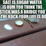 trap | SALT IS SUGAR WATER IS RUM YOU THINK THE STICK WAS A BRIDGE YOU HIT THE ROCK YOUR LIFE IS DONE | image tagged in trap | made w/ Imgflip meme maker
