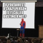 Just a comment someone made | IF YOU ARREST A CRAZY PERSON IS IT CALLED BUSTING A NUT? | image tagged in spiderman teaching,memes,shower thoughts,can't argue with that / technically not wrong | made w/ Imgflip meme maker