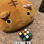 Cube cat | THIS IS A CAT; TRYING TO SOLVE A CUBE | image tagged in meow | made w/ Imgflip meme maker