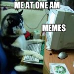 dog on computer | ME AT ONE AM; MEMES | image tagged in dog on computer | made w/ Imgflip meme maker