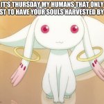 Thursday | IT'S THURSDAY MY HUMANS THAT ONLY EXIST TO HAVE YOUR SOULS HARVESTED BY ME | image tagged in thursday | made w/ Imgflip meme maker
