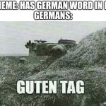 Germans | MEME: HAS GERMAN WORD IN IT
GERMANS: | image tagged in germans | made w/ Imgflip meme maker