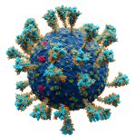New Coronavirus