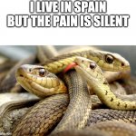 Snakes | I LIVE IN SPAIN BUT THE PAIN IS SILENT | image tagged in snakes | made w/ Imgflip meme maker