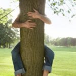 tree hugger | NOBODY:
GIRLS IN THEIR YEARBOOK PHOTOS: | image tagged in tree hugger | made w/ Imgflip meme maker